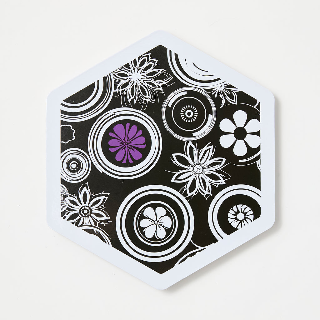 Ebony & Ivory Box Set (12)